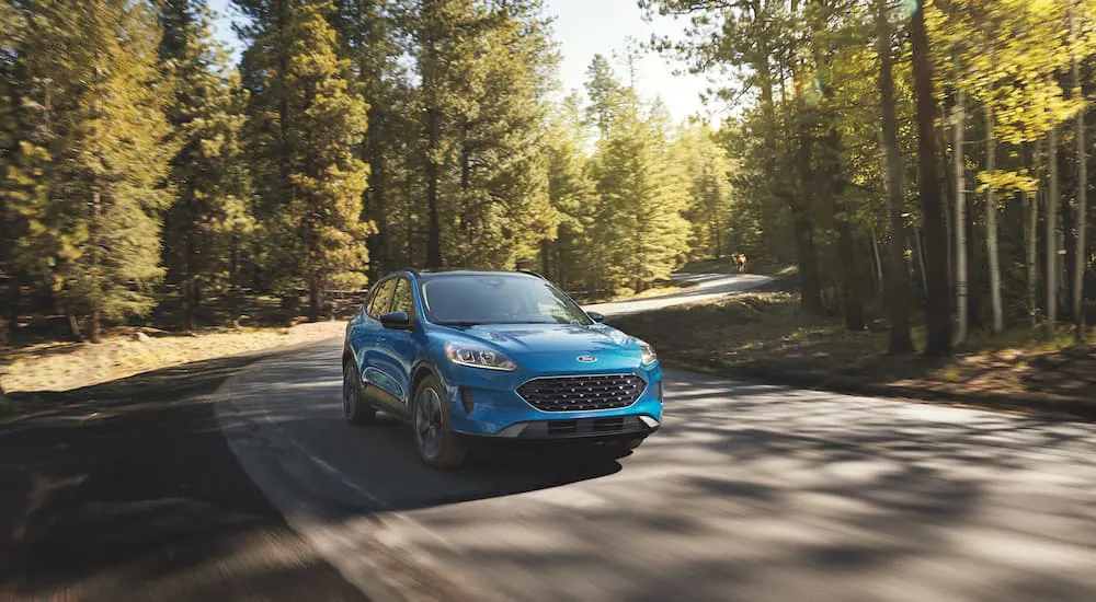 A blue 2022 Ford Escape driving on a sunny, tree-lined road.