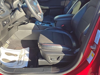 2023 Ford Escape Hybrid ST-Line Select