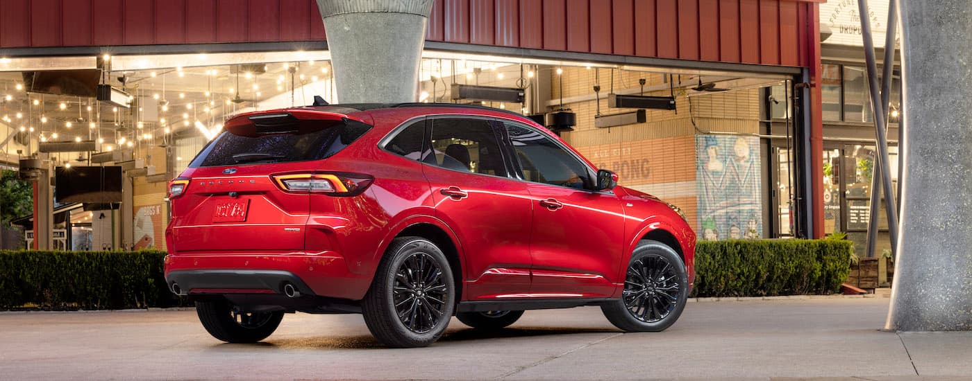 A red 2023 Ford Escape ST-line is shown from the rear at an angle.