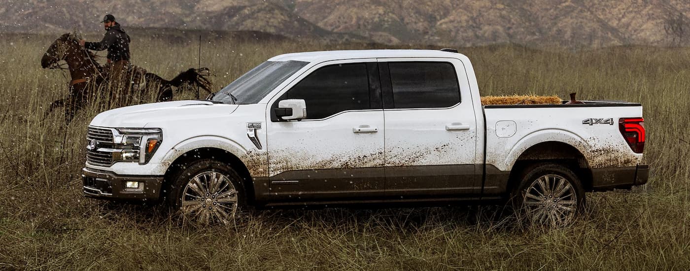 Side of a white 2026 Ford F-150 for sale near Peoria parked off-road.